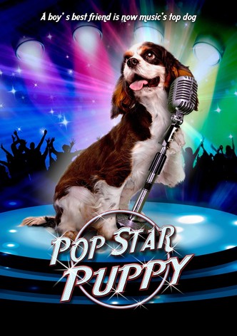 Pop Star Puppy