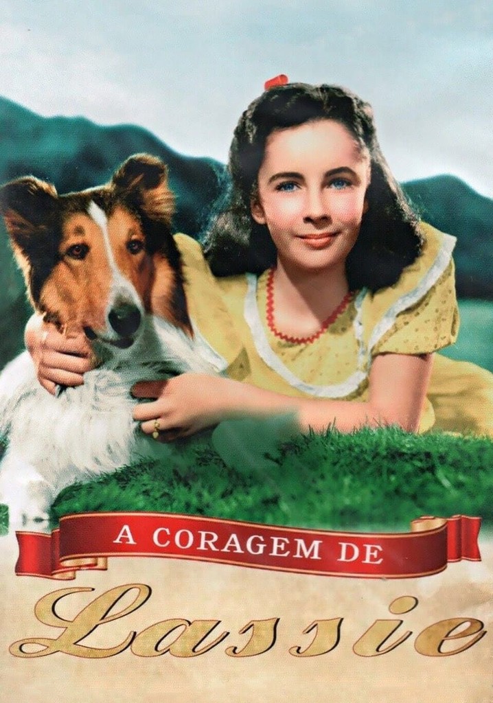 A Coragem De Lassie Filme Veja Onde Assistir