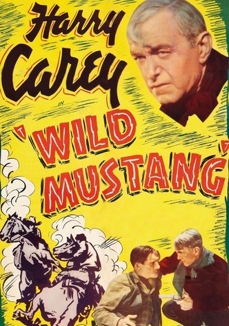 Wild Mustang