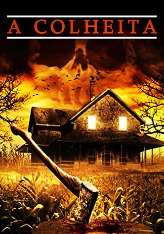 A Colheita