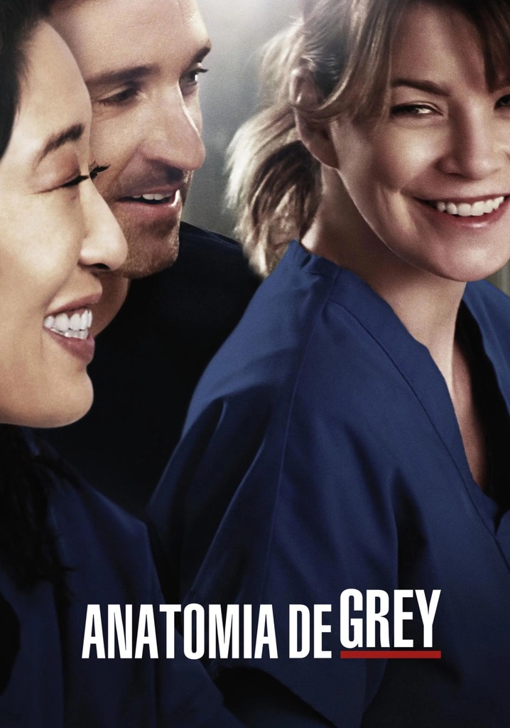 Temporada 10 De Anatomia De Grey