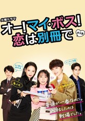 オー! マイ・ボス! 恋は別冊で ドラマ動画配信