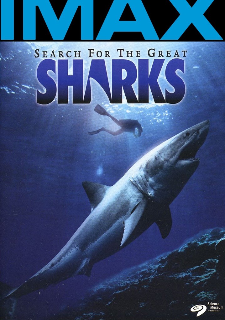 Search for the Great Sharks