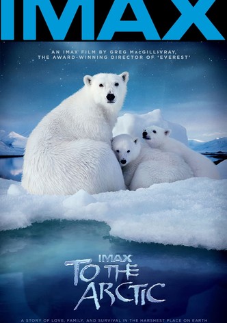 To the Arctic 3D