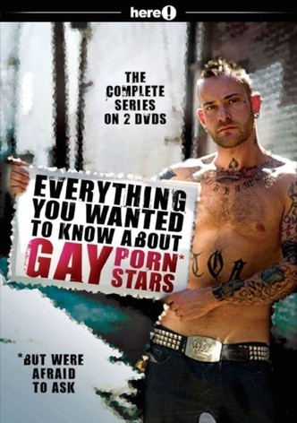 Everything You Always Wanted To Know About Gay Porn Stars