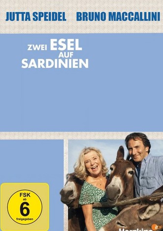 Zwei Esel auf Sardinien