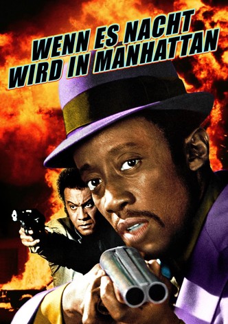 Wenn es Nacht wird in Manhattan