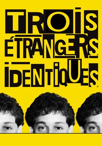Trois étrangers identiques