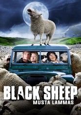 Black Sheep - Musta Lammas