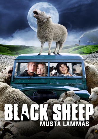 Black Sheep - Musta Lammas