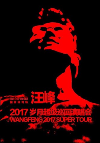 汪峰 岁月巡回演唱会