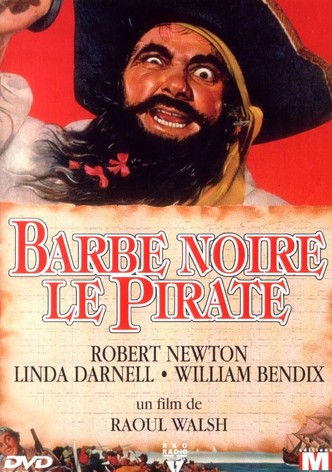 Barbe-Noire le pirate