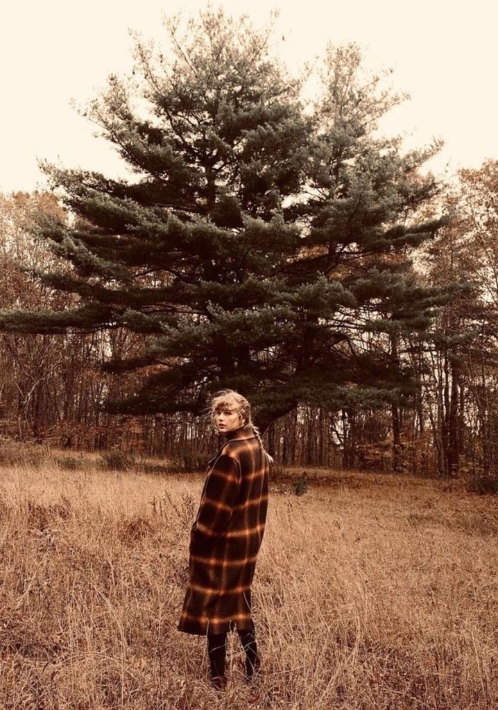 Taylor Swift: Willow