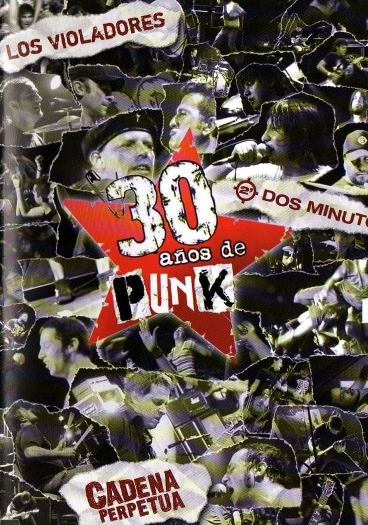 30 años de punk