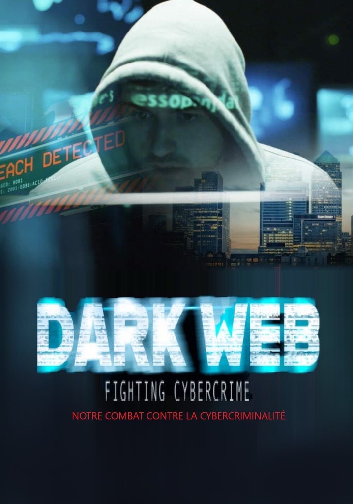 Dark Web - Fighting Cybercrime