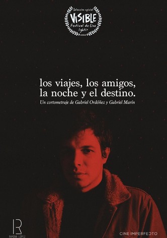 Trips, Friends, Night & Destiny