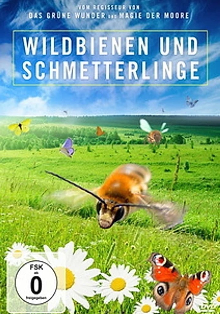 Kinder der Sonne: Unsere Schmetterlinge