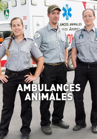 Ambulances animales