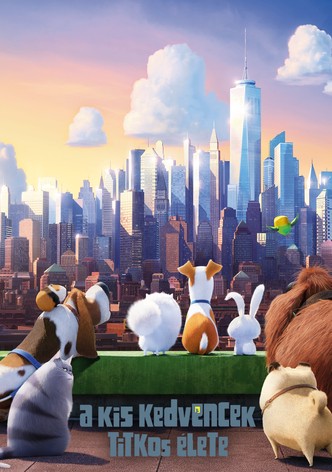 A kis kedvencek titkos élete