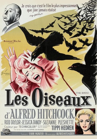 Les Oiseaux