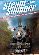 Steam in the Summer