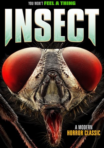 Insect
