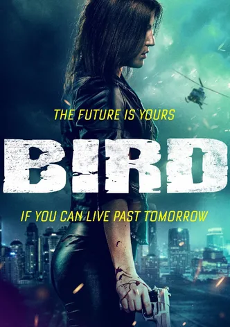 Bird poster