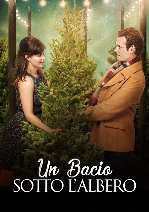 Prime Video: Un amore sotto l'albero