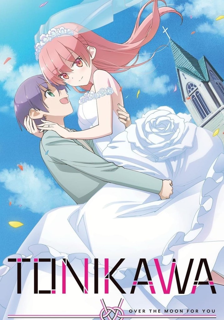 onde assistir tonikaku kawaii