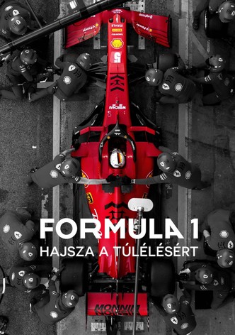 Formula 1: Hajsza a túlélésért - Évad 8