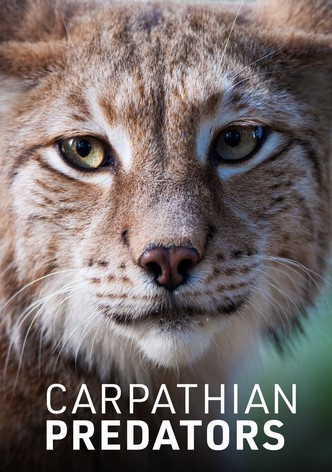 Carpathian Predators