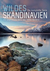 Wildes Skandinavien