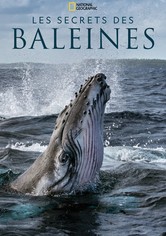 Les Secrets des baleines - Saison 1