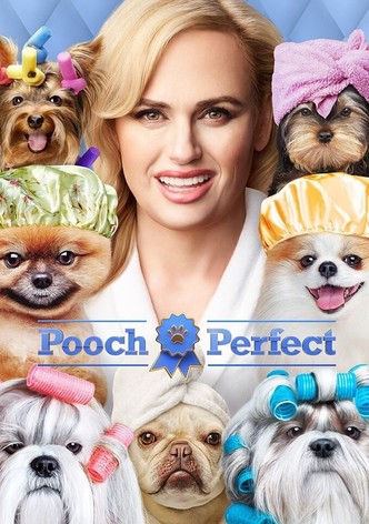 Pooch Perfect