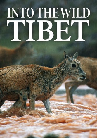 Into the Wild Tibet