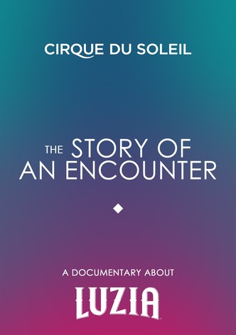 The Story Of An Encounter