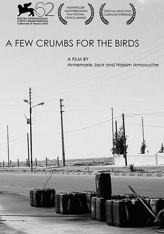 A Few Crumbs For Birds