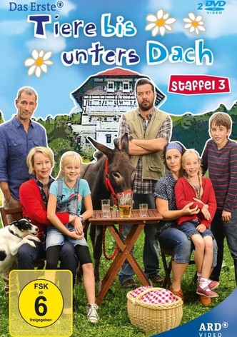 Staffel 3