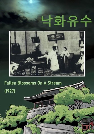 Fallen Blossoms on a Stream