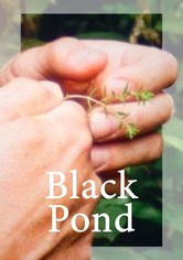 Black Pond