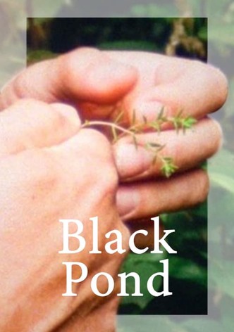 Black Pond