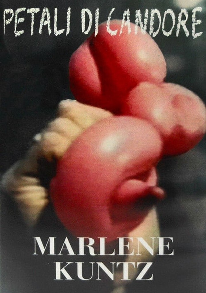 Marlene Kuntz: Petali di Candore