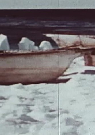 Description of a Struggle