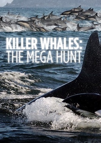 Killer Whales: The Mega Hunt