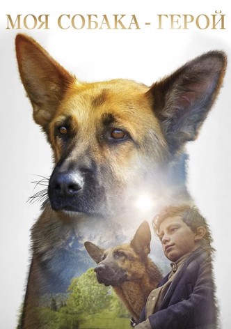 Моя собака — герой