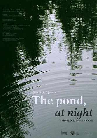 The Pond, at Night
