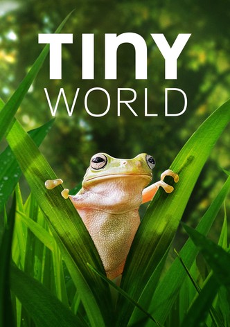 Tiny World