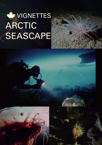Canada Vignettes: Arctic Seascape