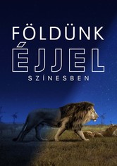 Földünk éjjel színesben