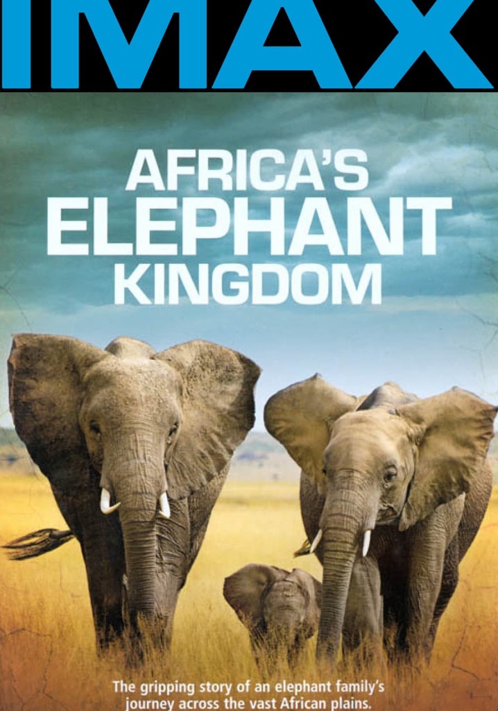 Africa's Elephant Kingdom